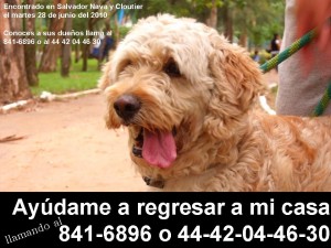 Ayúdame a regresar a mi casa-1