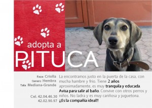 Adopta a Pituca