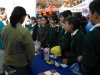 AP_000352-copy