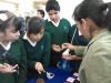 AP_000363-copy