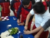 AP_000396-copy