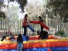 IMG_8988-copy