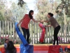 IMG_8992-copy