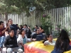 IMG_8993-copy