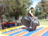 IMG_9004-copy