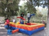IMG_9019-copy
