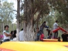 IMG_9025-copy