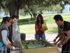 IMG_9030-copy