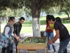 IMG_9031-copy