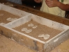 dsc00511-copy