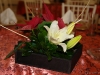 dsc03845-copy