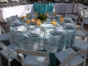 IMG_7450-copy