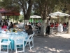 IMG_7462-copy