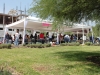 IMG_7211-copy