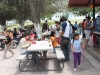 IMG_7291-copy