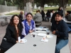 IMG_0406-copy