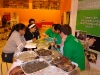 dsc02784-copy