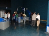 dsc00954-copy
